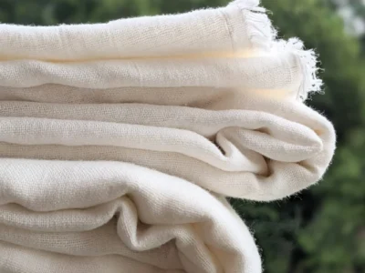 Organic Cotton Fabric: Uses, Global Brand Demand, Growth Outlook & How We Actually Make It